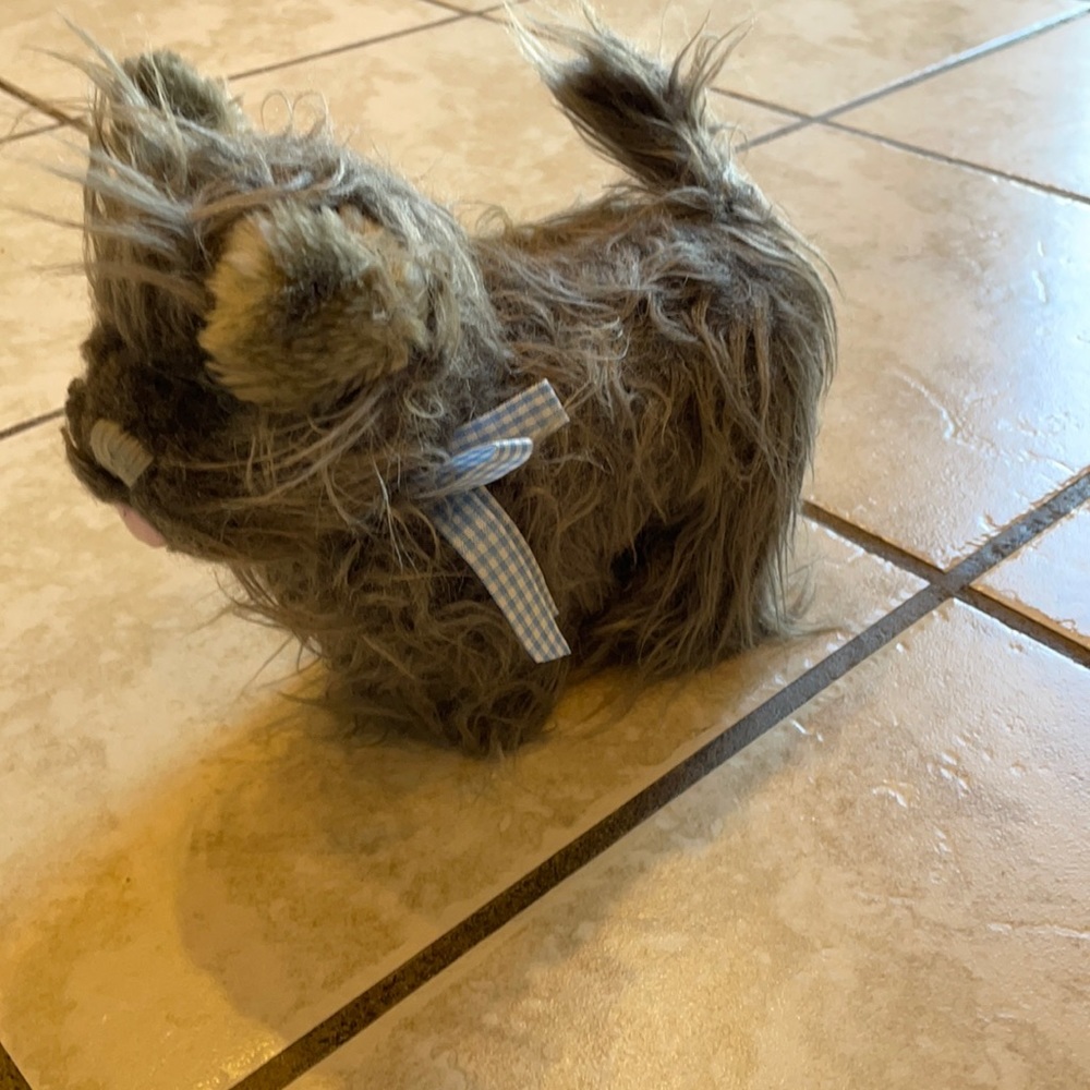 Toto dog- for Dorothy costume